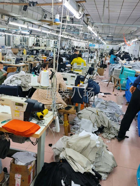 要吃苦耐劳-第1张图片