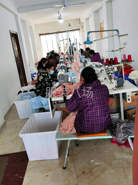 10-20人加工厂承接订单-第3张图片