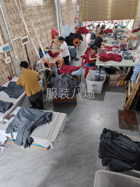 专做女衬，承接加工-第4张图片