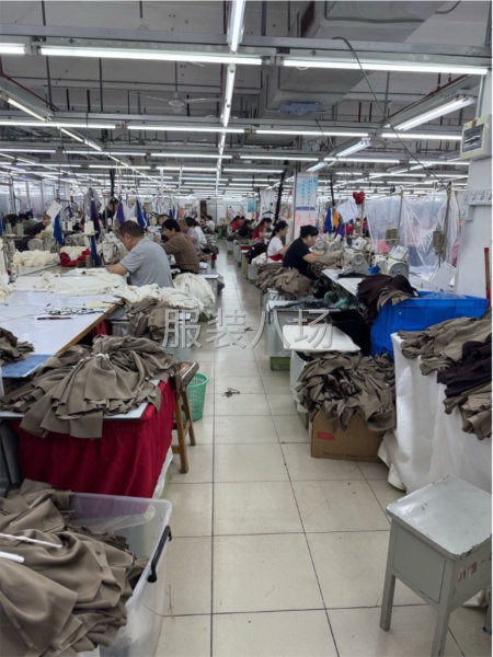 深圳市蛇口华丝服装有限公司-第1张图片