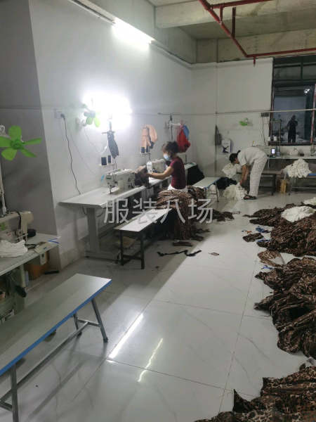 承接大量货源-第4张图片