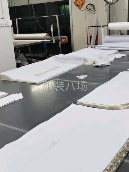 衬衣裙子裤子西装风衣     单价低勿扰-第2张图片