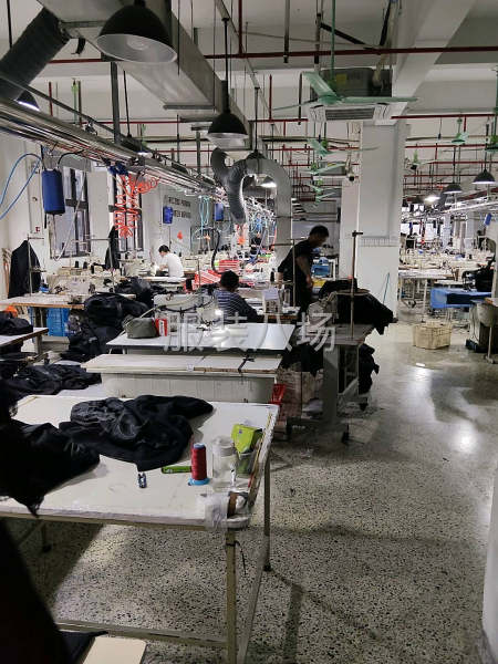 诚心诚意想做-第1张图片