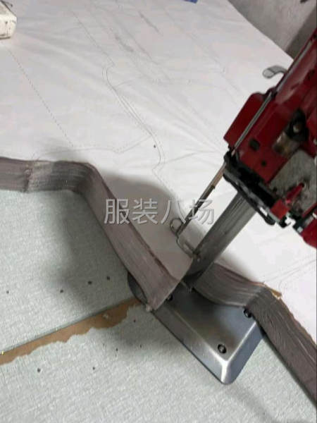 欢迎老板来裁-第5张图片