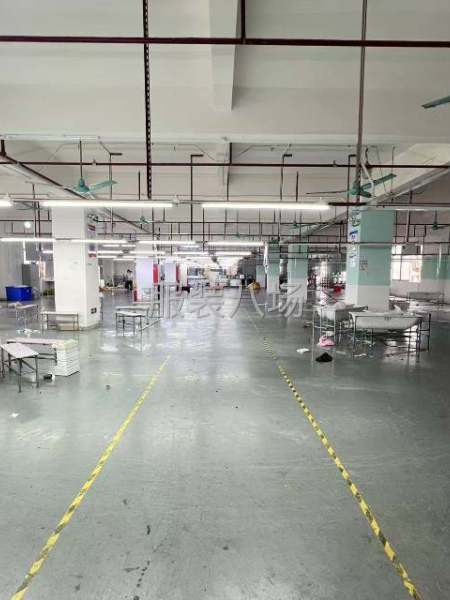 塘步东1200方服装厂房出租-第2张图片