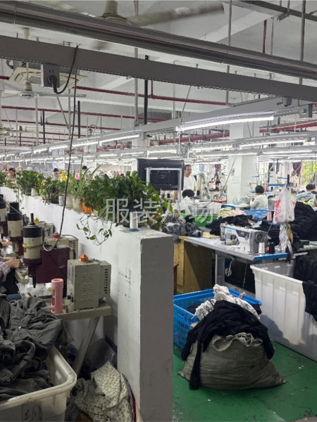 诚聘半精品电商裁床管理一名（要求：45岁以下，裁床管理经验3-第1张图片