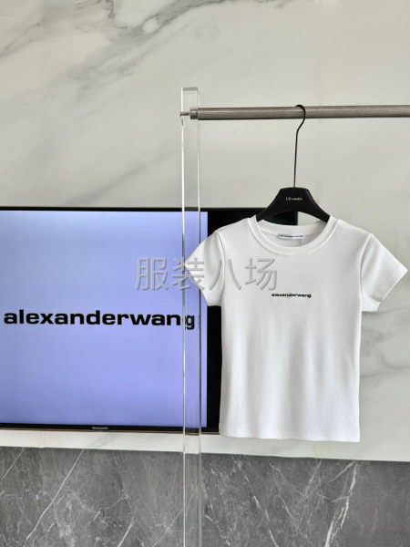 大王新款高弹罗纹棉 刺绣女装经典短袖-第3张图片