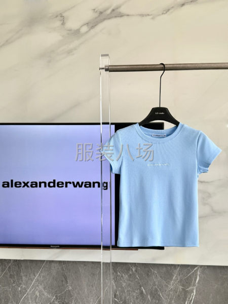 大王新款高弹罗纹棉 刺绣女装经典短袖-第4张图片