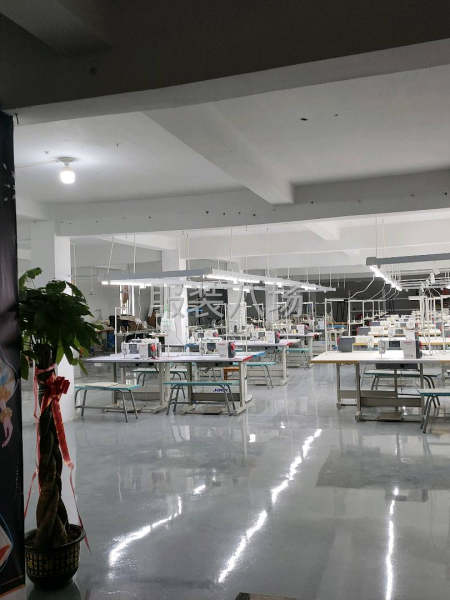 10-20人加工厂承接订单-第4张图片