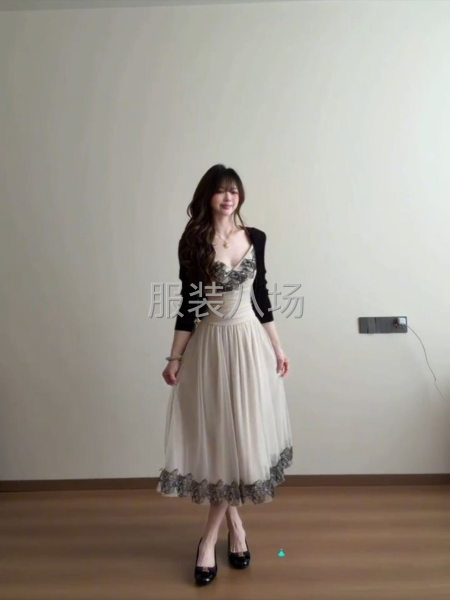 网单小单快反现金结账寻连衣裙雪纺网纱工厂-第8张图片