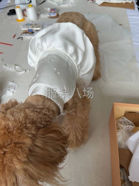 工作环境办公楼，环境干净，活少-第1张图片