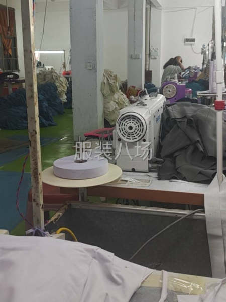 10-20人加工厂承接订单-第2张图片