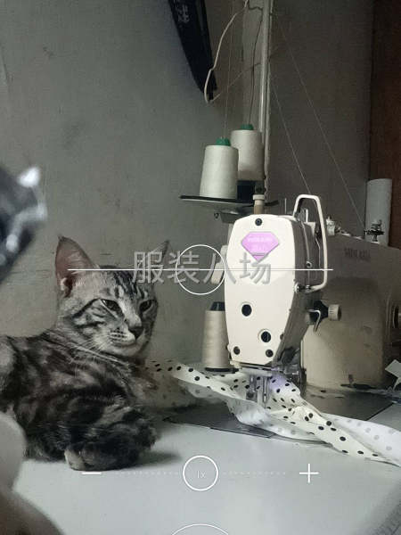 一楼大厅车间空转-第1张图片