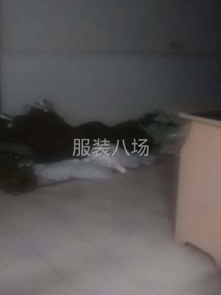 承接单衣茄克棒球服棉衣-第1张图片