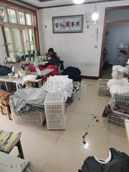 圆领打底衫-第1张图片