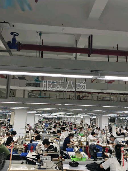 本厂专业生产裤类产品-第1张图片