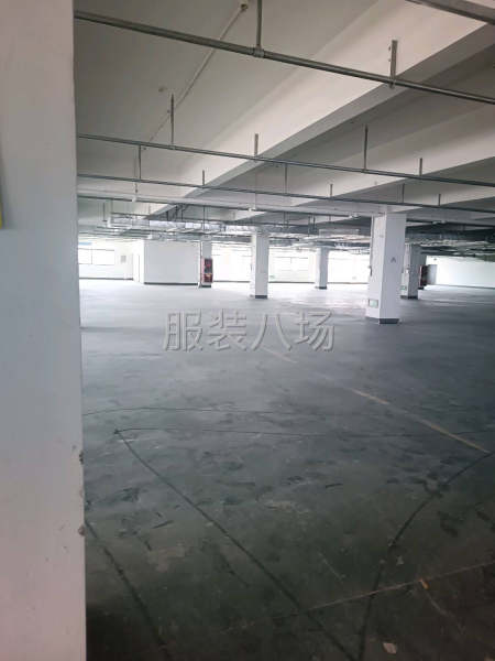 出租练塘大道楼上厂房-第2张图片