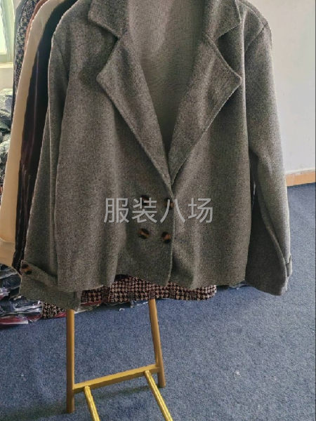 秋冬杂款女装外贸外套，各种版型款式混搭多颜色-第4张图片