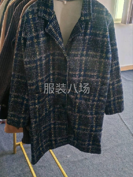 秋冬杂款女装外贸外套，各种版型款式混搭多颜色-第6张图片