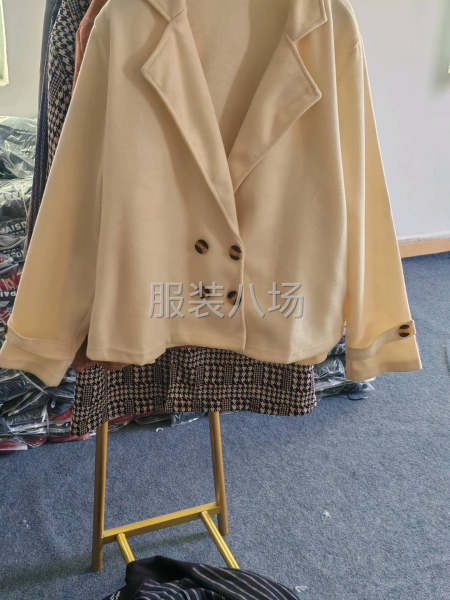 秋冬杂款女装外贸外套，各种版型款式混搭多颜色-第3张图片