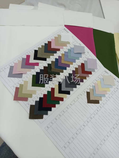 欧根纱，全涤时装-第2张图片