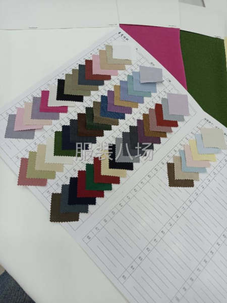 欧根纱，全涤时装-第9张图片