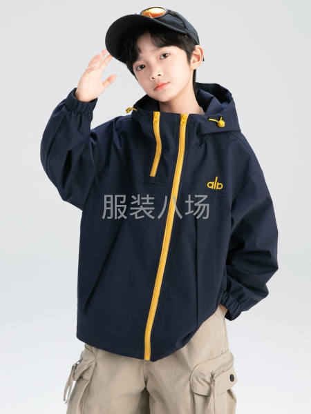 裤子，短裤，冲锋衣，棉衣，羽绒服，要求出活快！-第4张图片