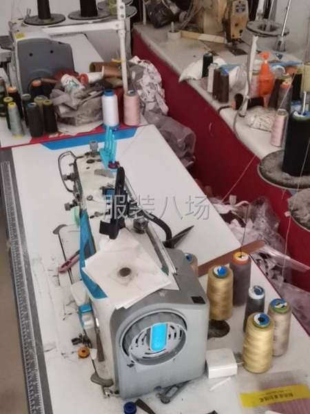 承接各种女装-第1张图片