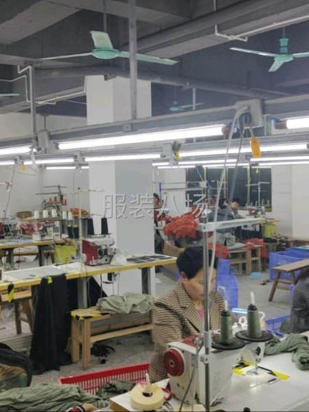 10-20人加工厂承接订单-第5张图片