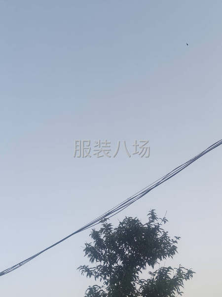 本厂常年10个人专业女装-第1张图片