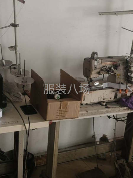 夫妻作坊，十二台车-第2张图片