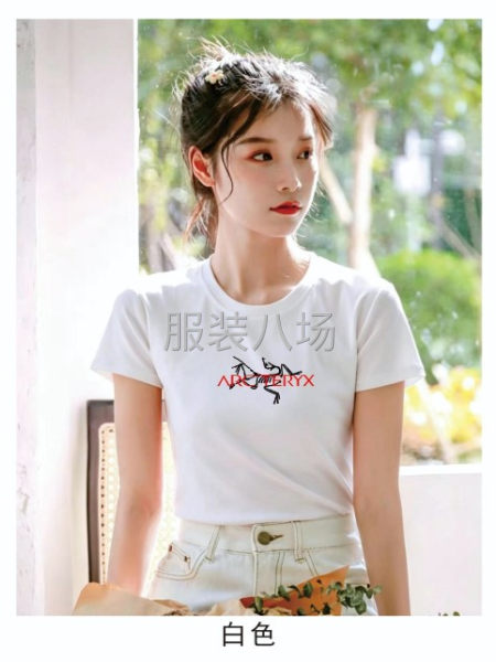 2始祖鸟女装短袖-第4张图片