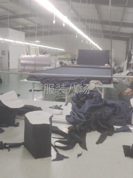 承接各种服装面料裁剪-第2张图片
