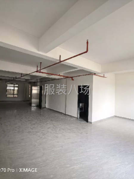 虎门北栅省道旁厂房出租-第2张图片