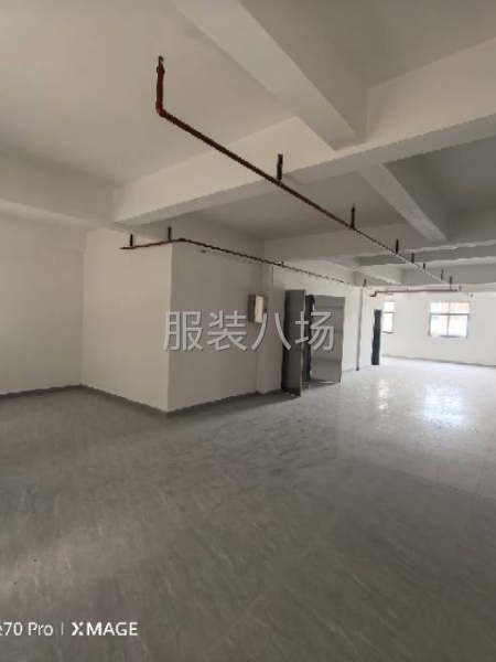 虎门北栅省道旁厂房出租-第1张图片