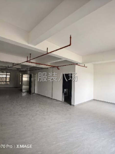虎门北栅省道旁厂房出租-第3张图片