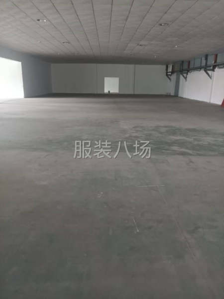 番禺南村厂房出租-第4张图片
