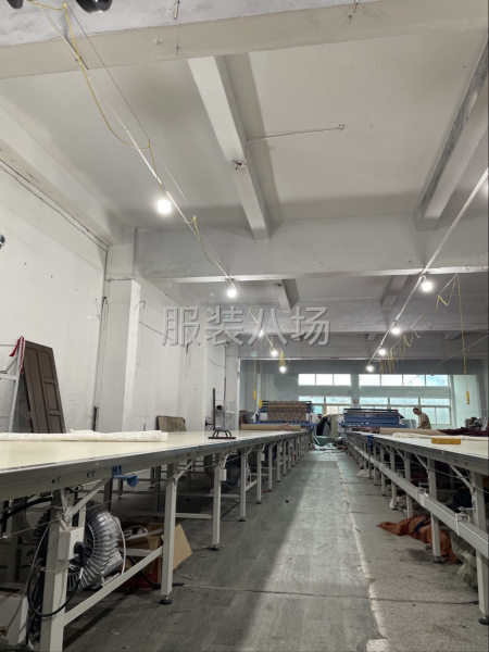 全自动电脑裁床裁剪，专业代裁，代打包发货-第3张图片