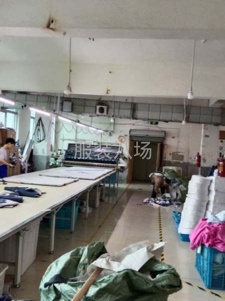 专业 衬衫 Polo衫工厂 包工包料 清加工-第4张图片
