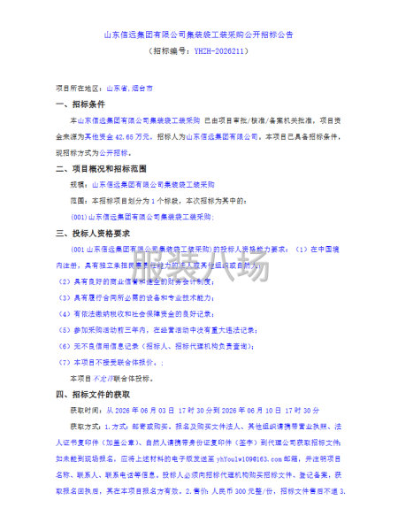 山东信远集团有限公司集装袋工装采购公开招标公告-第1张图片