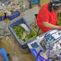 杭州 - 上城区 - 九堡 - 工作室诚聘整件车位 月薪11000-23000