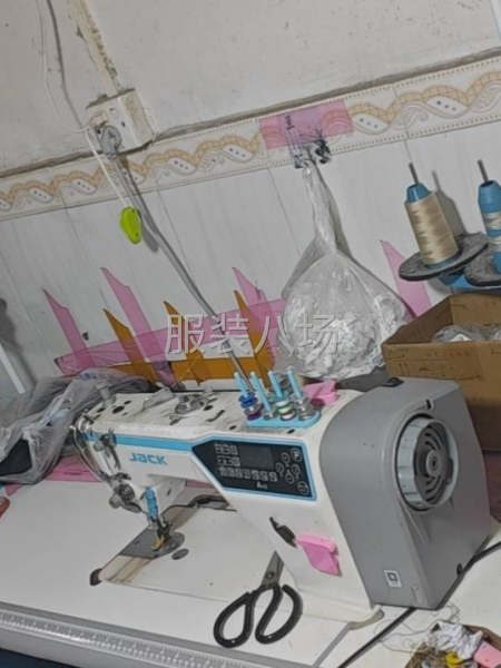 大塘小作坊专业做裙子裤子，，寻客户-第1张图片