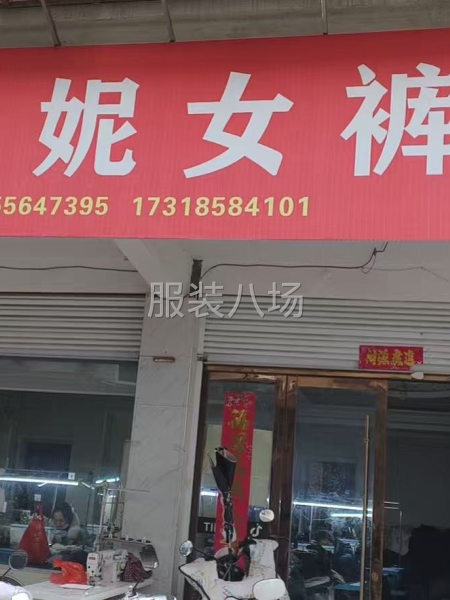 专业女裤加工，支持来料加工，支持包工包料-第1张图片