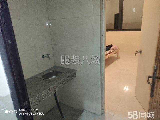 巷东村刘家弄2号厂房出租-第4张图片