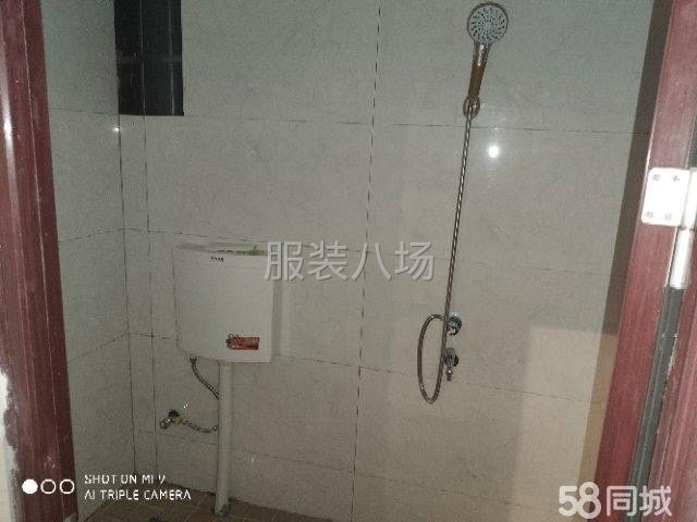 巷东村刘家弄2号厂房出租-第3张图片