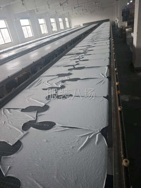 承接杭州及周边服装印花，数码印花，丝网印花-第2张图片