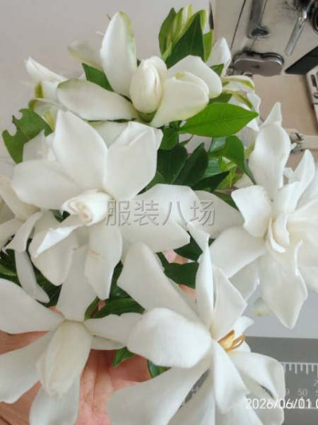 夫妻档工厂寻求订单-第2张图片