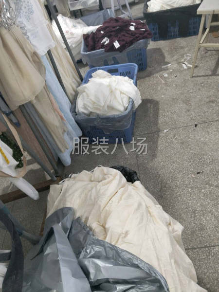 网单裁片，女装，梭织-第4张图片