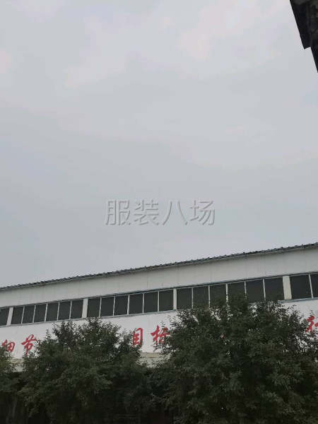 承接各种服装加工-第1张图片